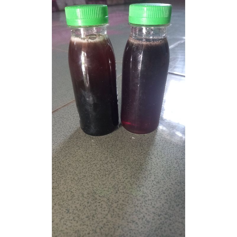 

madu trigona itama