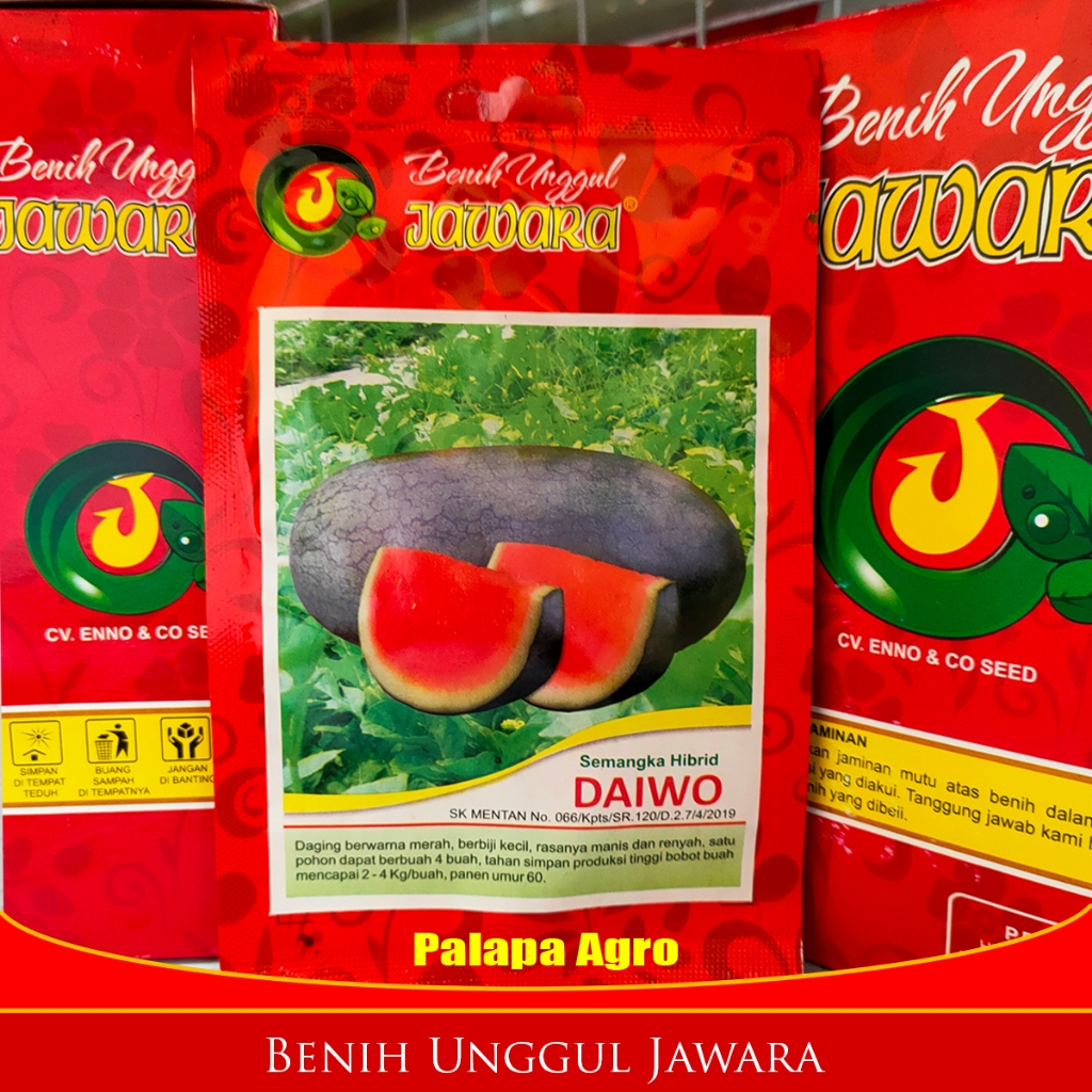 Benih Unggul Semangka Merah DAIWA F1 5gram - bibit semangka Super Jumbo