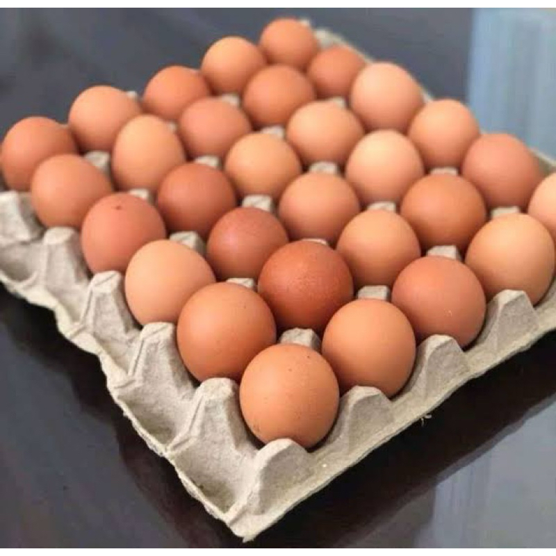 

TELUR AYAM EROPA JUMBO 1 PAPAN