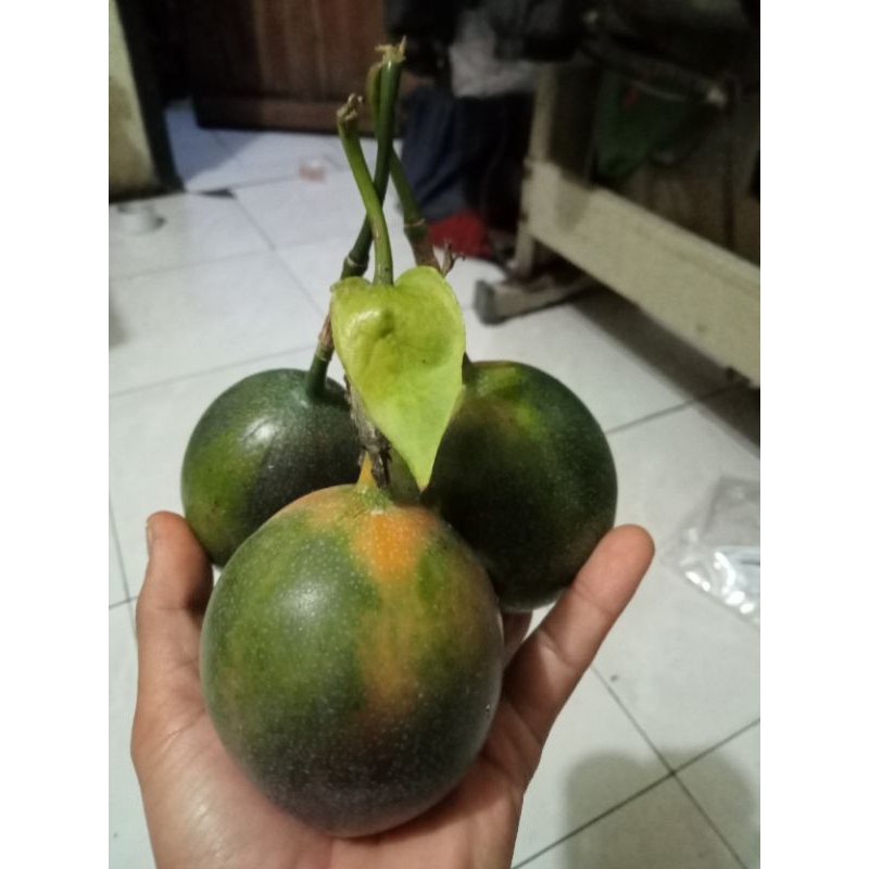 

promo 1kg konyal madu