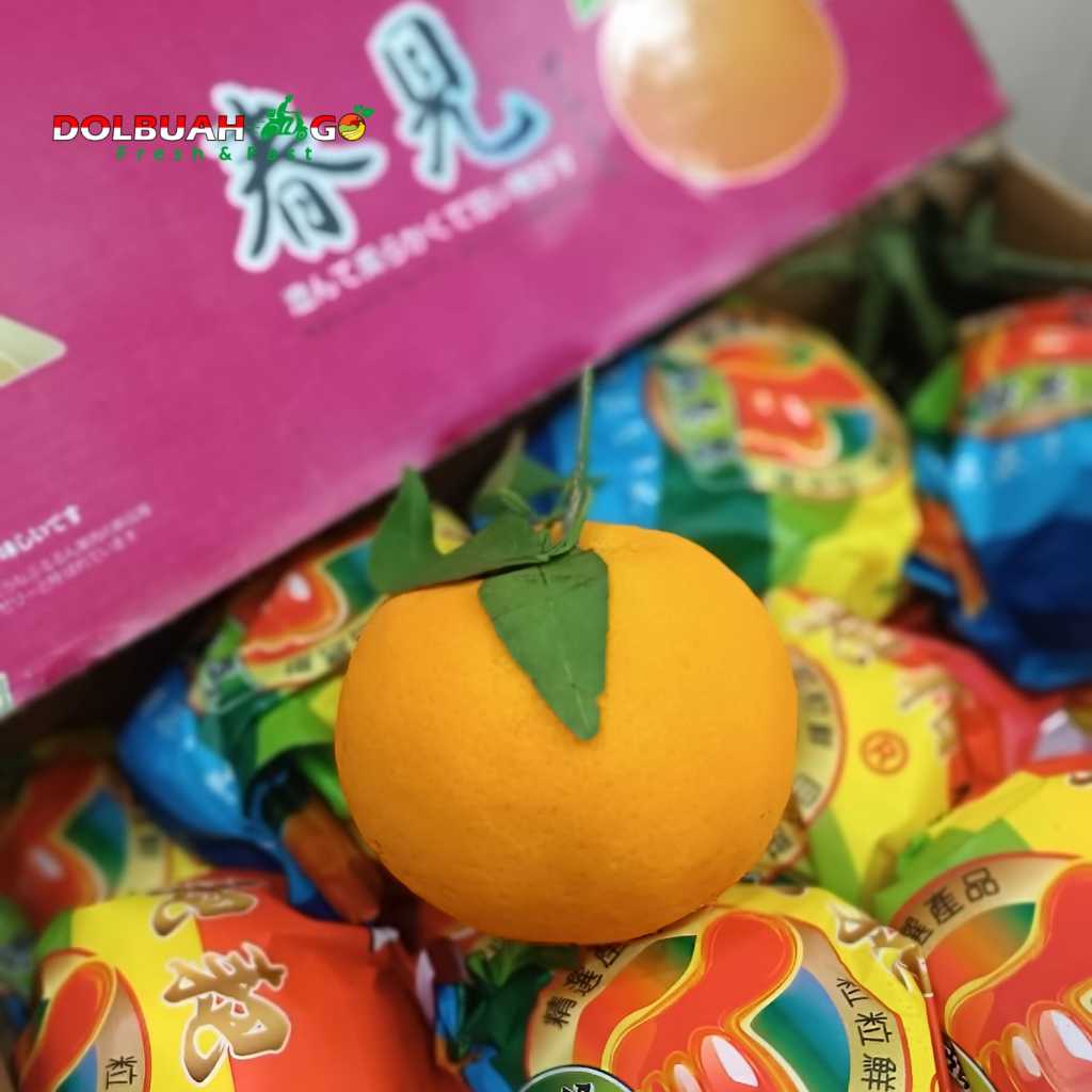 

Jeruk Papagan Dekopon GiftBox Dus 4kg - Hampers Imlek Chinese New Year CNY - Dolbuah