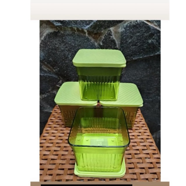 Mini family mate hijau 1pcs