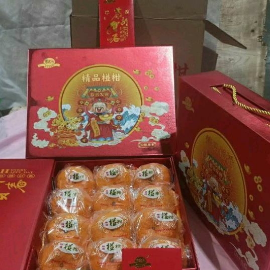 

jeruk ponkam premium HDL tas Coper imlek edition