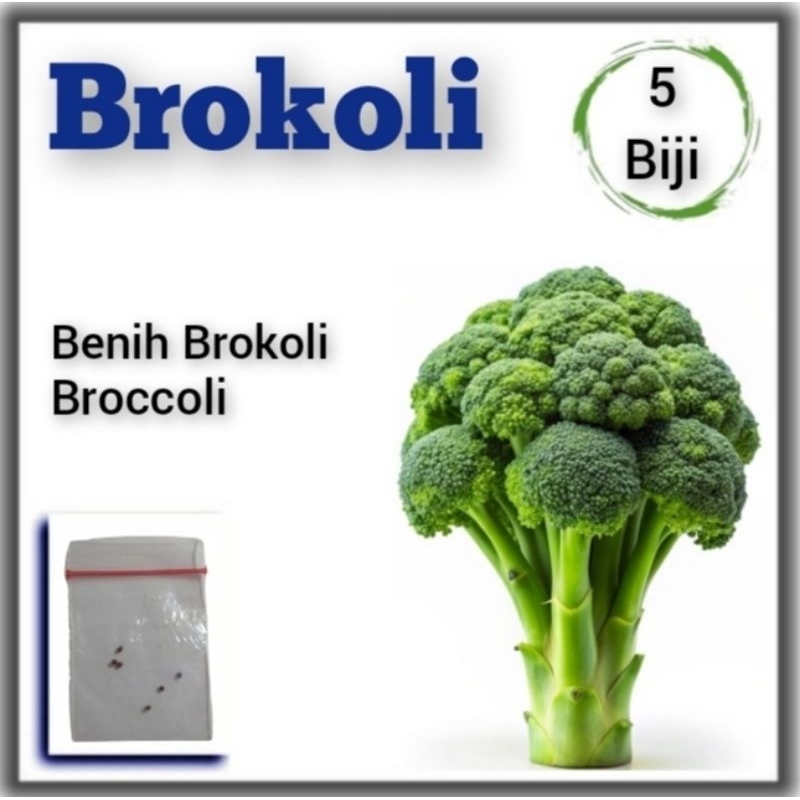Benih Sayuran Brokoli F1 Hybrida Cap Panah Merah