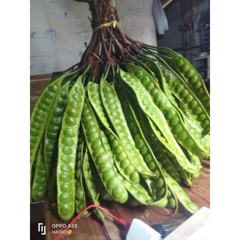 

Pette Super 1 Lonjor