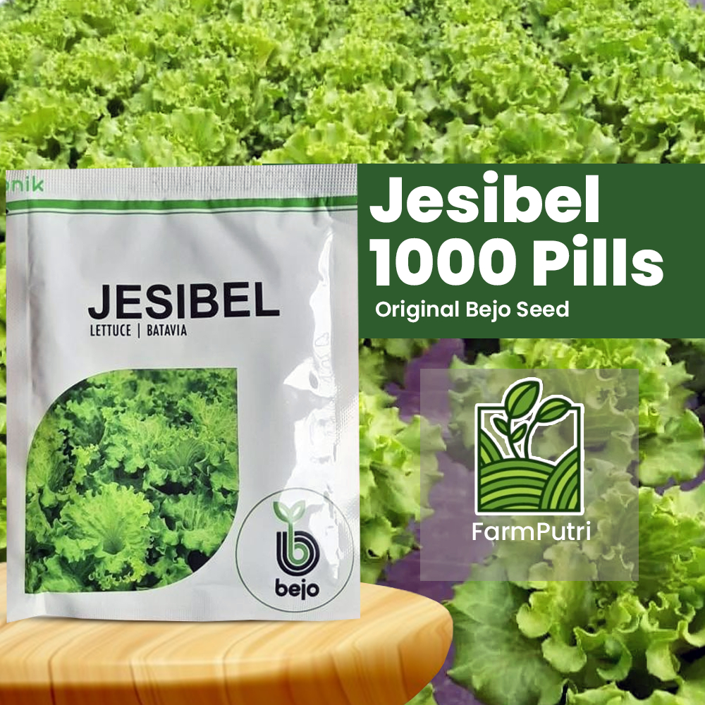 Benih Jesibel 1000 pills | Bejo | Selada | Bibit Hidroponik
