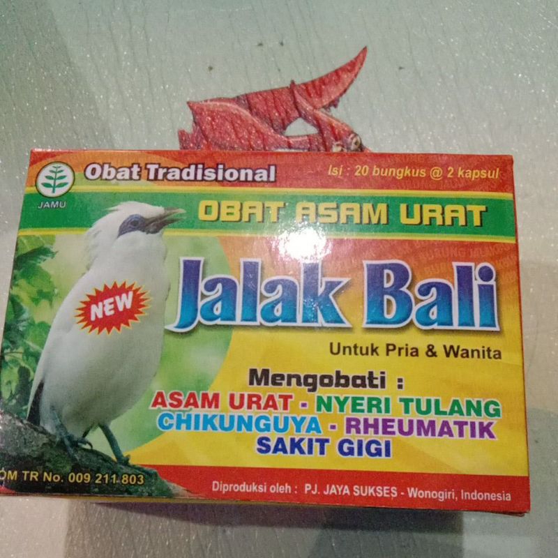 kapsul herbal jalak Bali untuk pria dan wanita.. mengobati asam urat plu tulang reumatik cikungunya