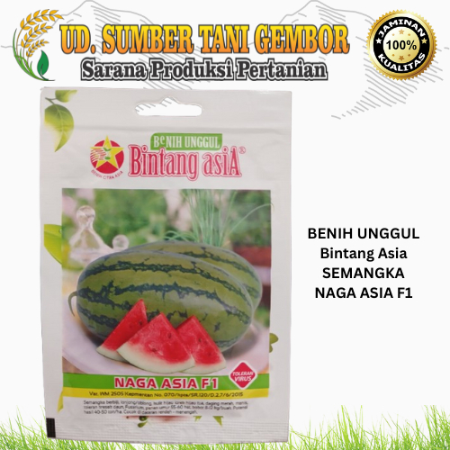 BENIH SEMANGKA - NAGA ASIA F1 - BENIH UNGGUL - BINTANG ASIA