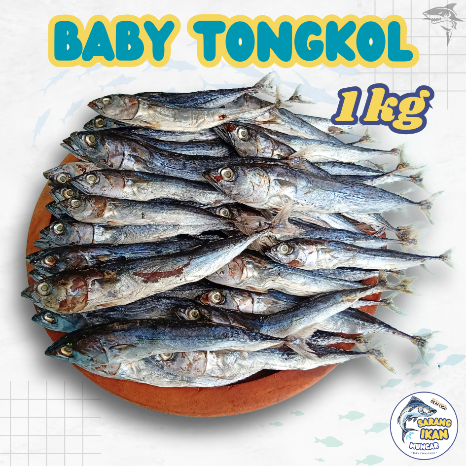 

BABY TONGKOL / TONGKOL KECIL ASIN PREMIUM TERMURAH 1 KG