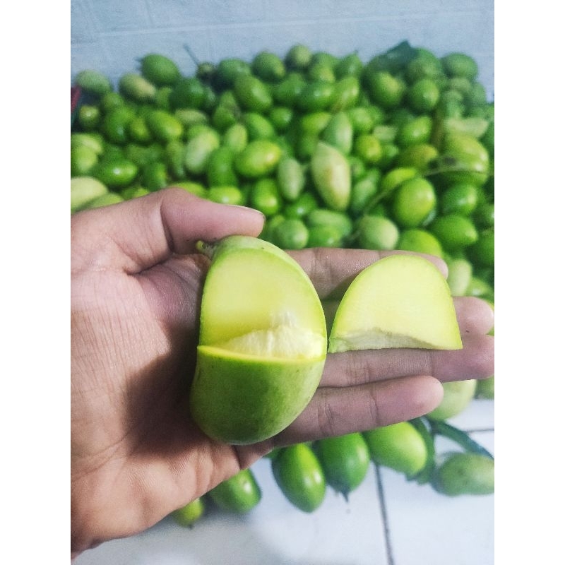 

Mangga daging telor telur or keong Muda Mentah 1 kg (12-16 biji) asem manis segar fresh rujak manisan asinan