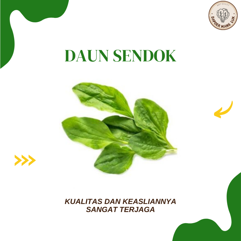 

EKSTRAK DAUN SENDOK BEST SELLER