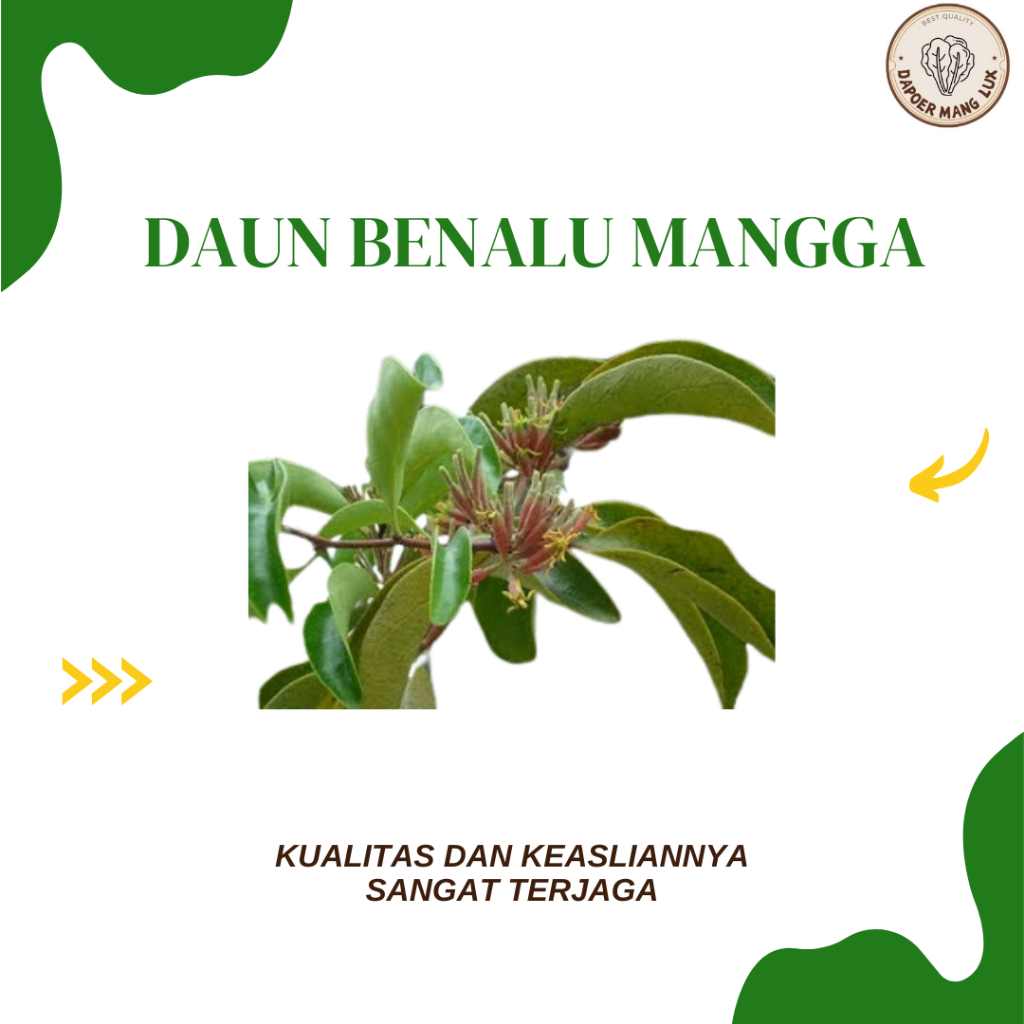 

EKSTRAK DAUN BENALU MANGGAH BEST SELLER