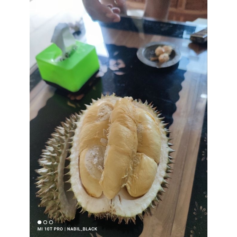 

Durian Tembaga gucialit lumajang