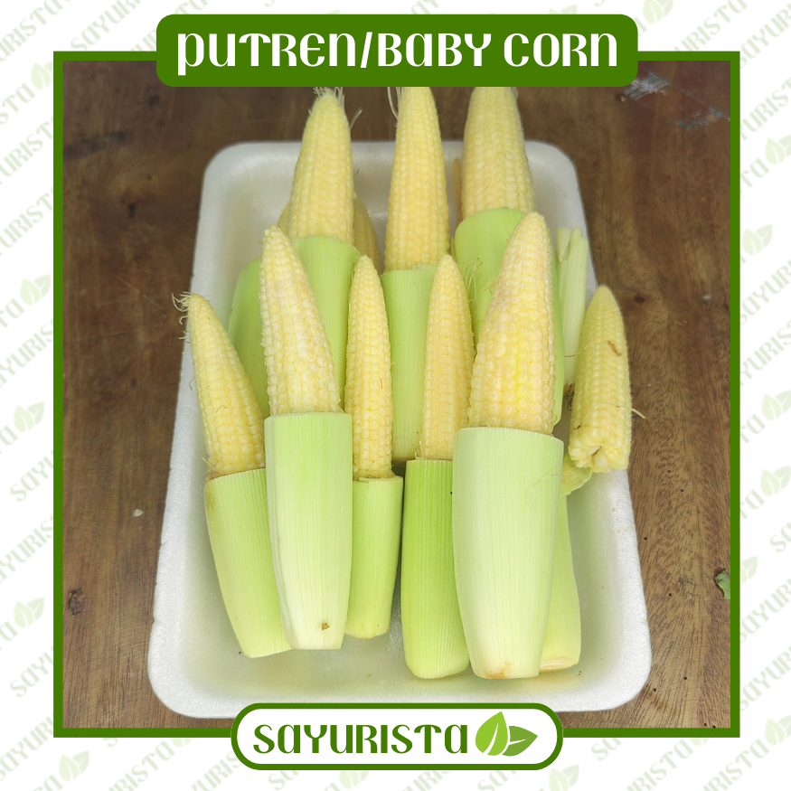 

Putren (Baby Corn) Segar - Pilihan Berkualitas dari Sayurista!