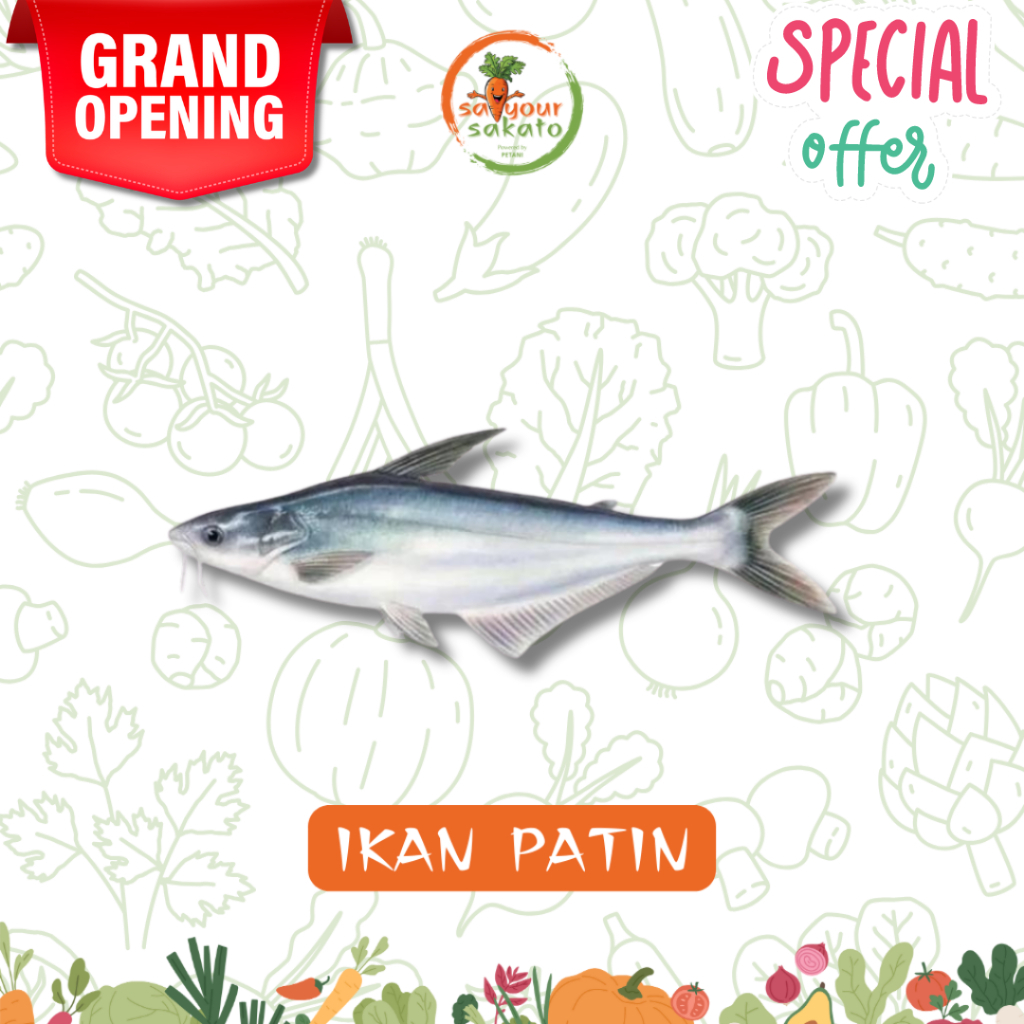 

Ikan Patin Segar Saiyour Sakato
