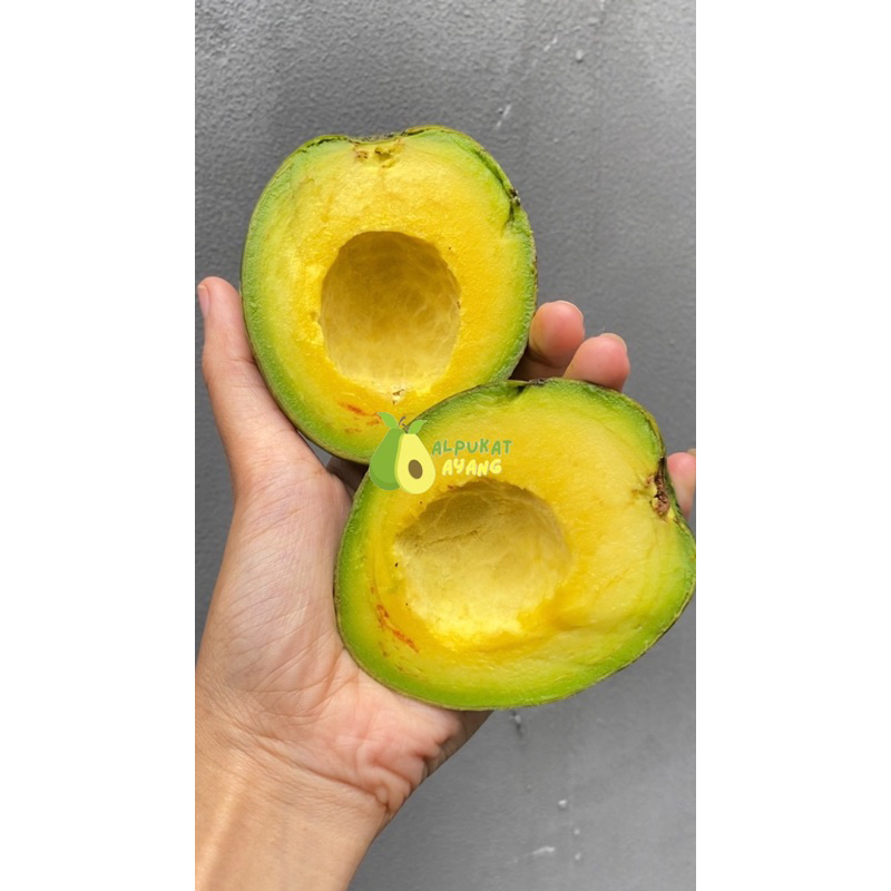 

Alpukat Mentega Super Mini, 1kg isi 4-5 buah.