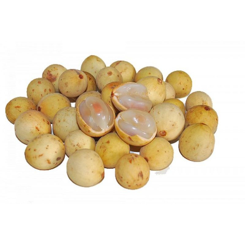 

PASAR SEGAR - BUAH DUKU 500GR