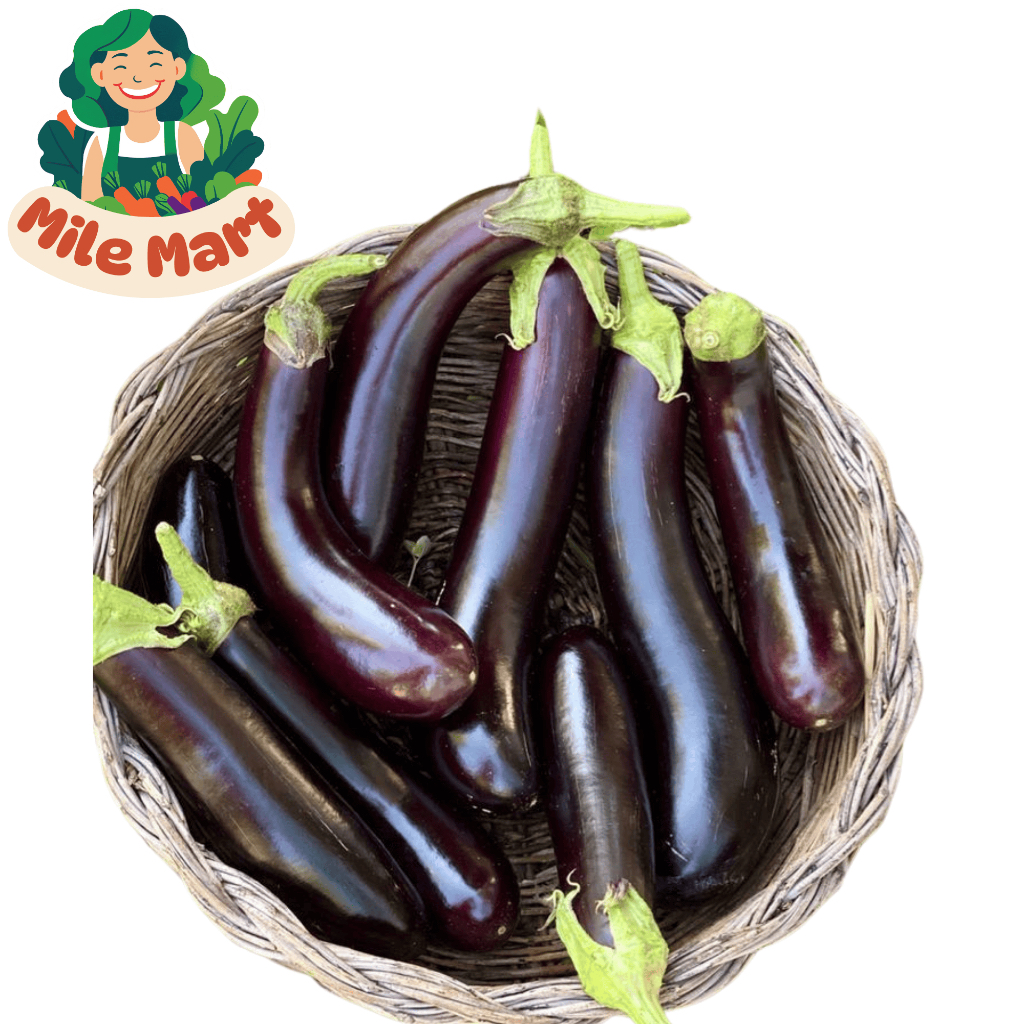 

Terong / Terong Ungu Segar