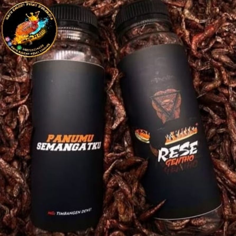 RESE GENTHO PREMIUM FISH FOOD ORIGINAL BY TOBIL