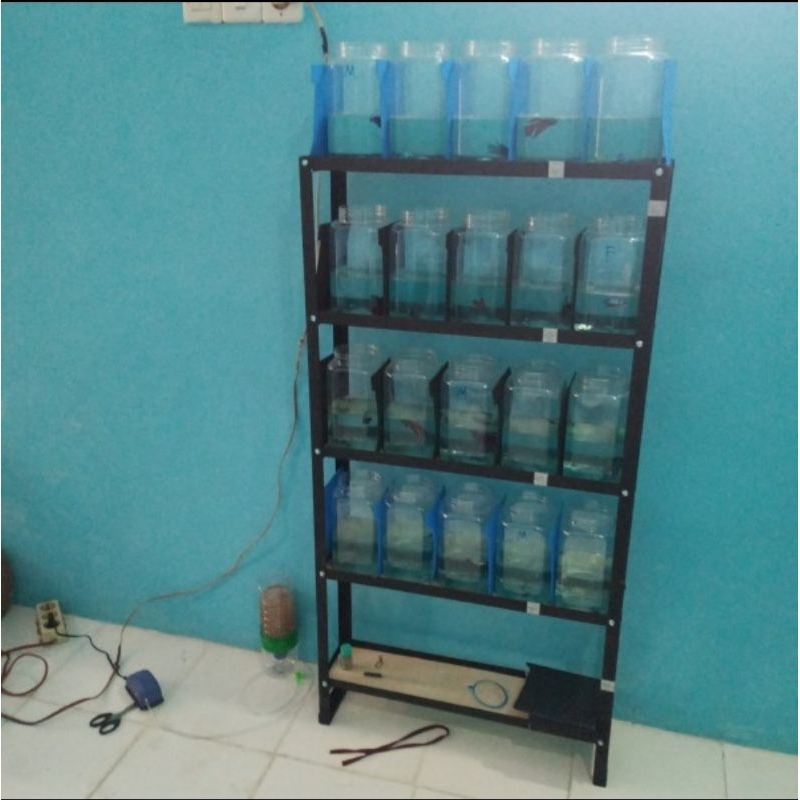 rak ikan cupang 5 susun 130x16x60 untuk toples 4 ltr