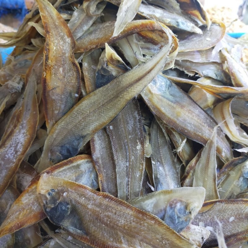 

ikan lidah tawar