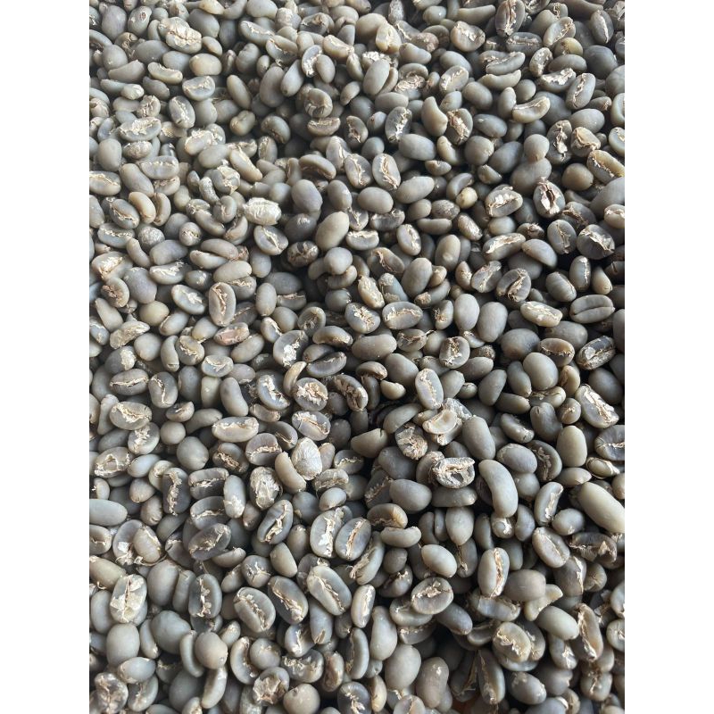 

GREAN BEAN ARABICA GAYO SEMI WASH GRADE 1 1Kg