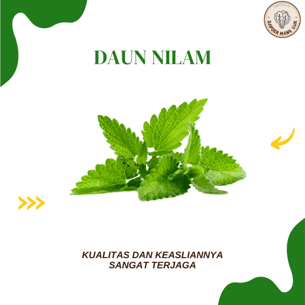 

EKSTRAK DAUN NILAM BEST SELLER