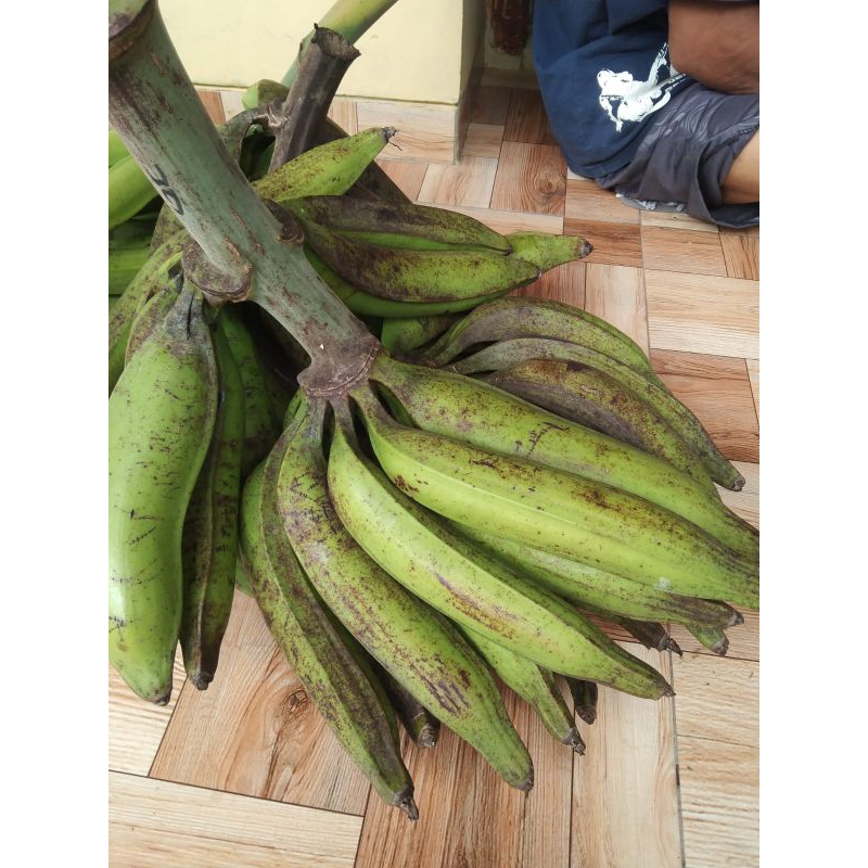 

pisang tanduk madu ukuran sedang 3 biji