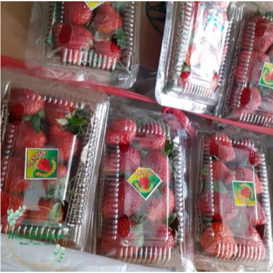 

Strawberry Segar Kemasan Mika 250 gr Buah Segar Cikarang