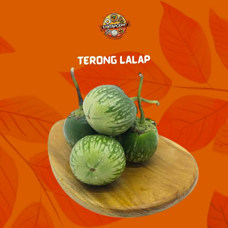 

Sayur Terong Bulat untuk Lalap – Segar dan Lezat untuk Menyempurnakan Hidangan