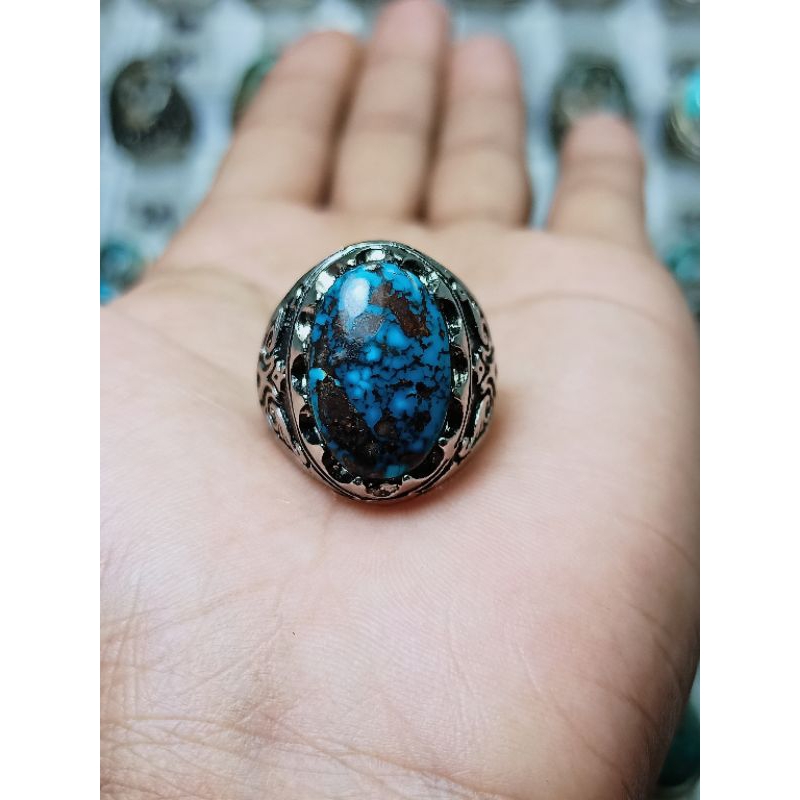 pirus persia biru fancy