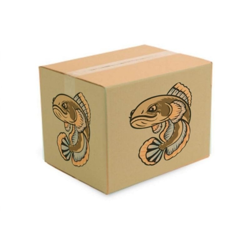 

box kardus isi limbata cb