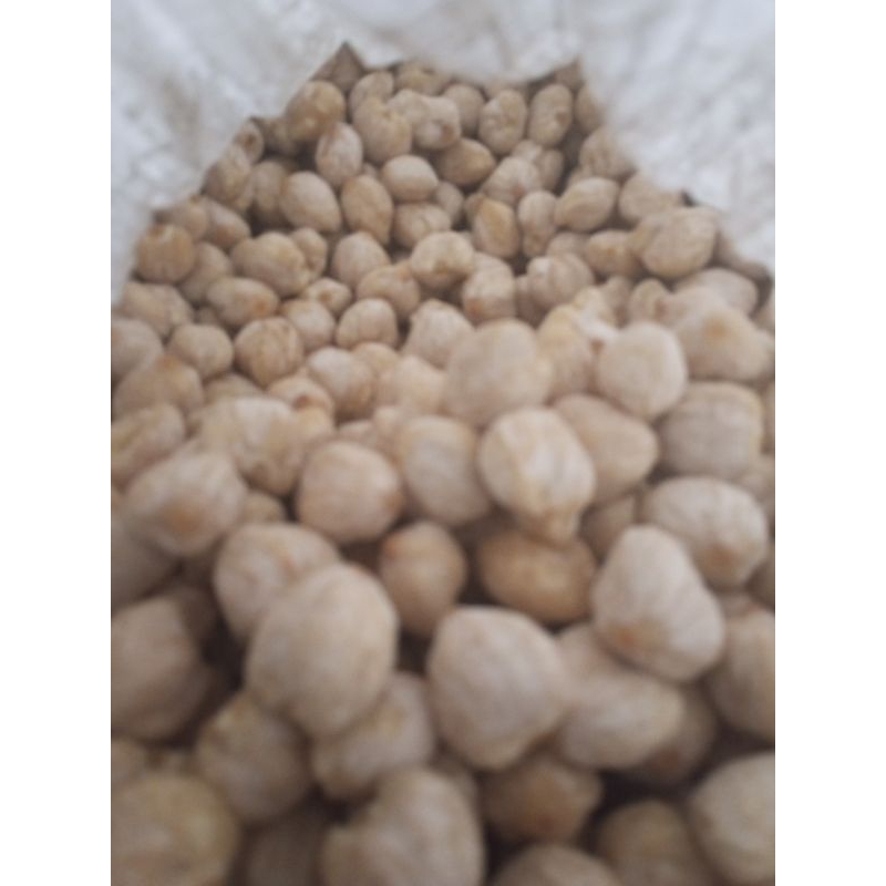 

kemiri bulat utuh edisi 500 gram (25rb/500GRAM) MURAH MERIAHH