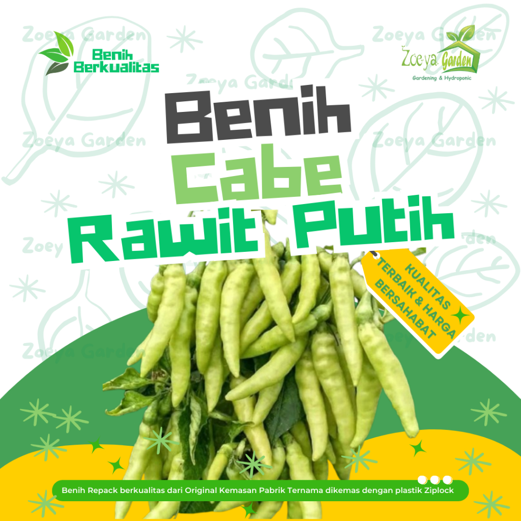 Biji / Benih / Bibit / Seed Cabe / Cabai Rawit Putih