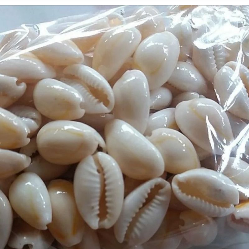 mainan anak congklak kuwuk putih 100 gram