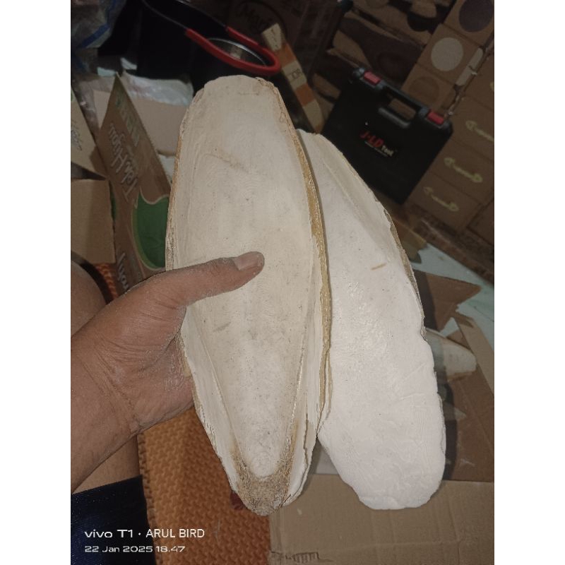 tulang sotong super jumbo 28-30cm