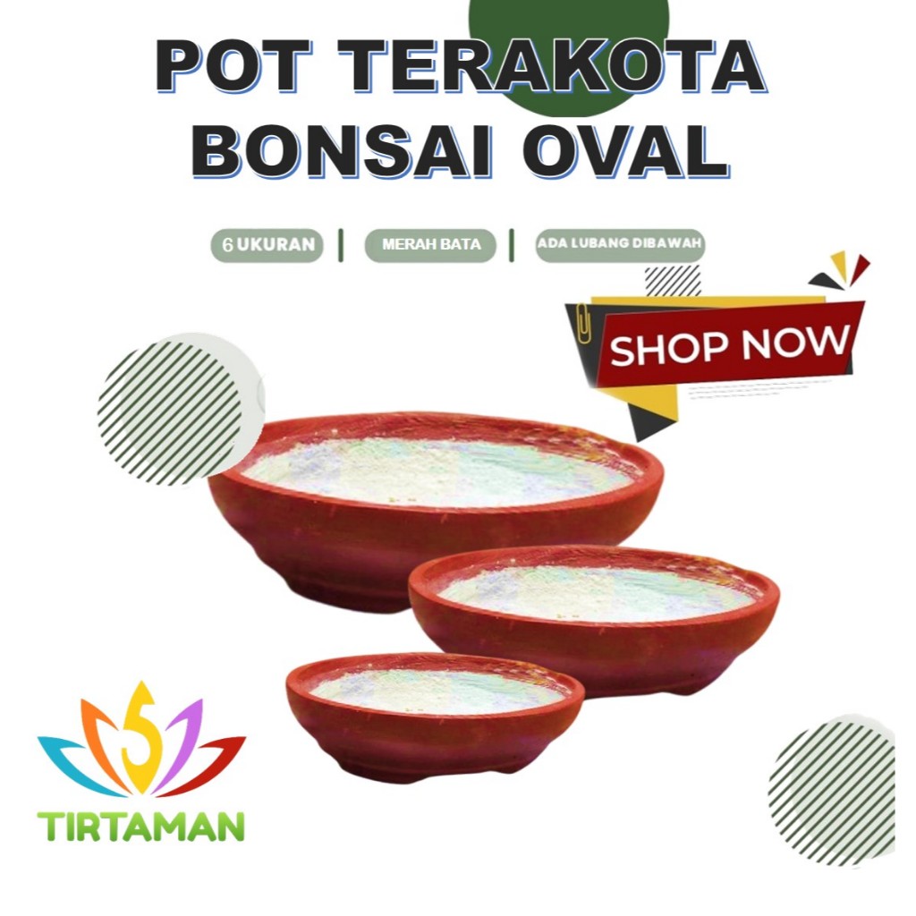pot terakota bonsai oval / pot gerabah bonsai oval / pot bonsai tanah liat oval [reguler termasuk pa