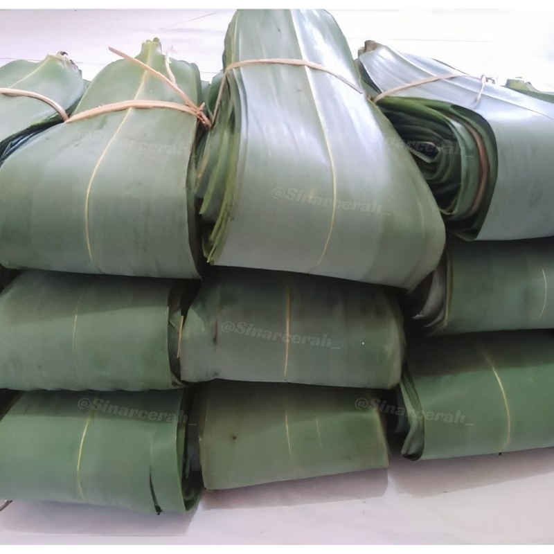 

Bungkus bakcang bacang ukuran 5 jari/ Daun bambu bungkus bakcang ukuran jumbo siap pakai