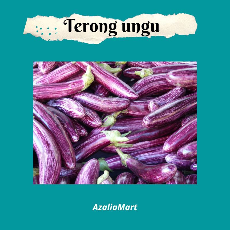 

Terong / Terong ungu 5rb