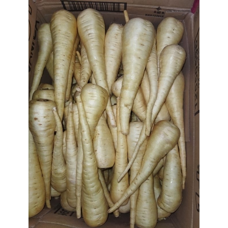 

wortel import | parsnip import Fress 1kg
