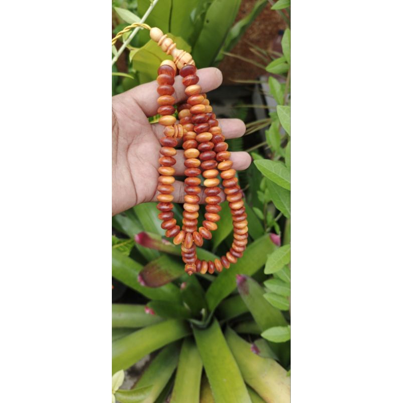 tasbih gaharu agatis/raja kayu