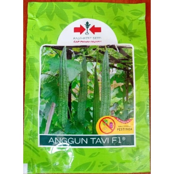 BENIH OYONG ANGGUN TAVI F1 2026