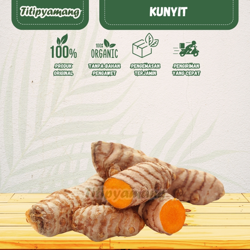 

Kunyit | Kunir | Koneng | Bumbu masak | Rempah - rempah