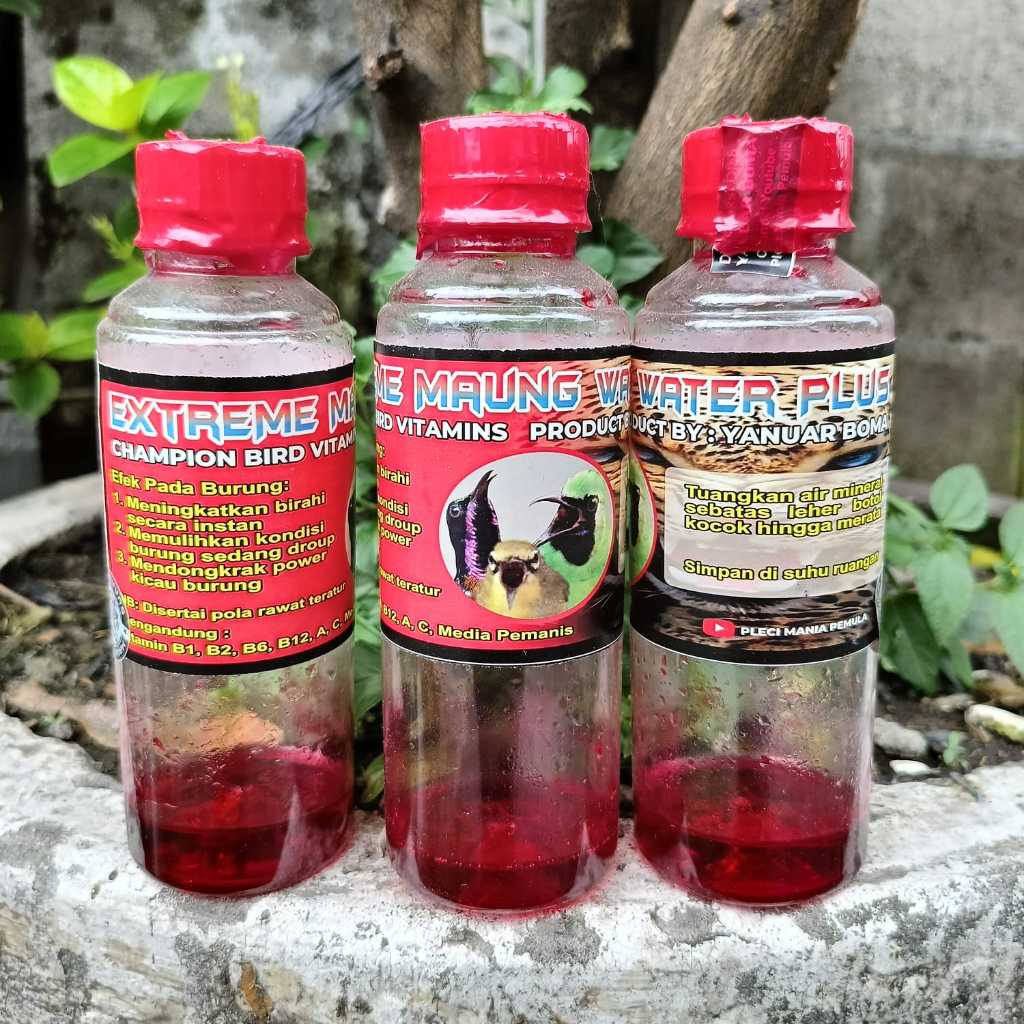EXTREME MAUNG WATER PLUS VITAMIN BURUNG JUARA PENGGACOR INSTAN BURUNG KONIN SOGON PLECI C IJO
