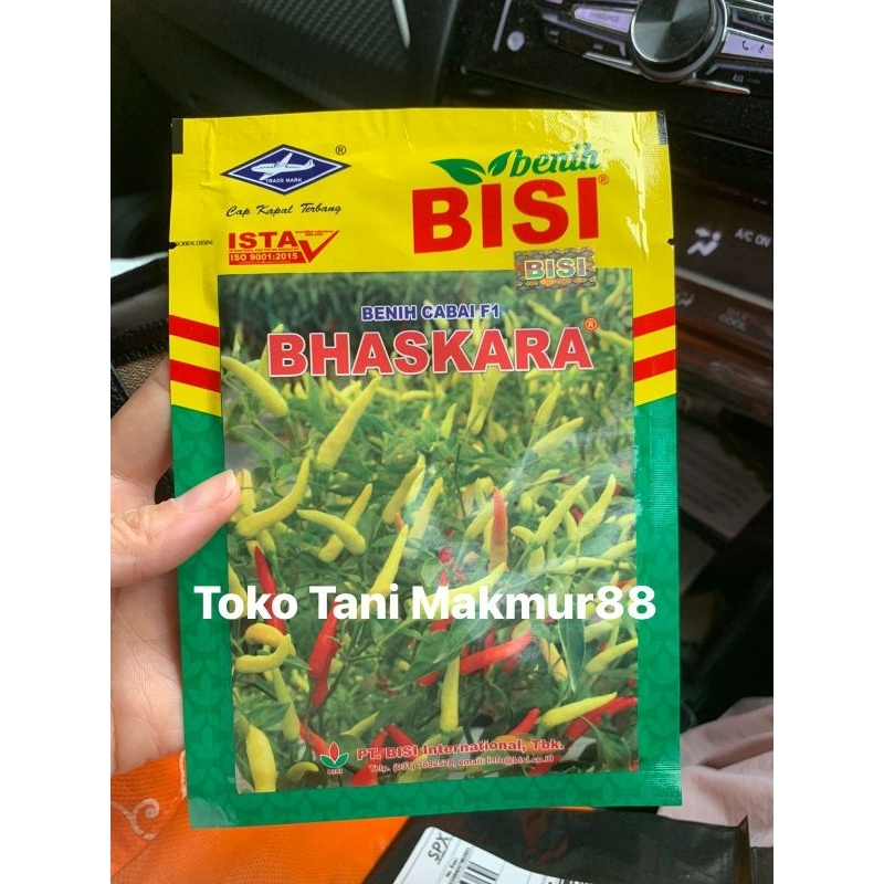 Benih cabe rawit putih hibrida BHASKARA F1 10 gram cabai baskara f1 10gr dari bisi chia tai