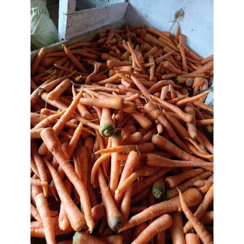 

wortel sayur segar 500 gram