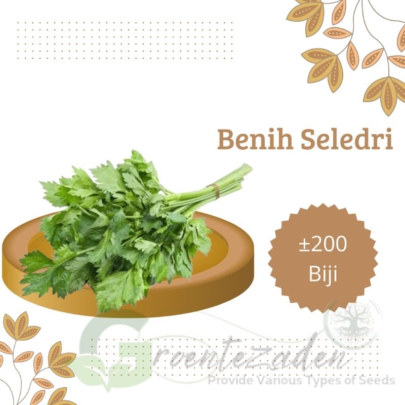 200 Benih bibit biji seledri daun sledri amigo cap panah merah