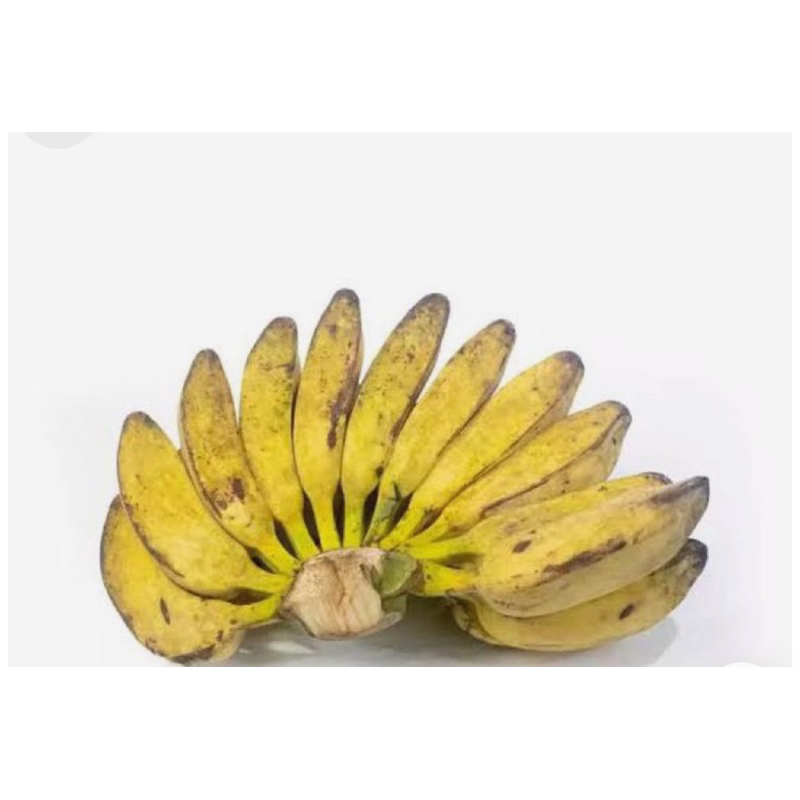 

PakAchmad- Pisang kepok / tanduk 1 lirang