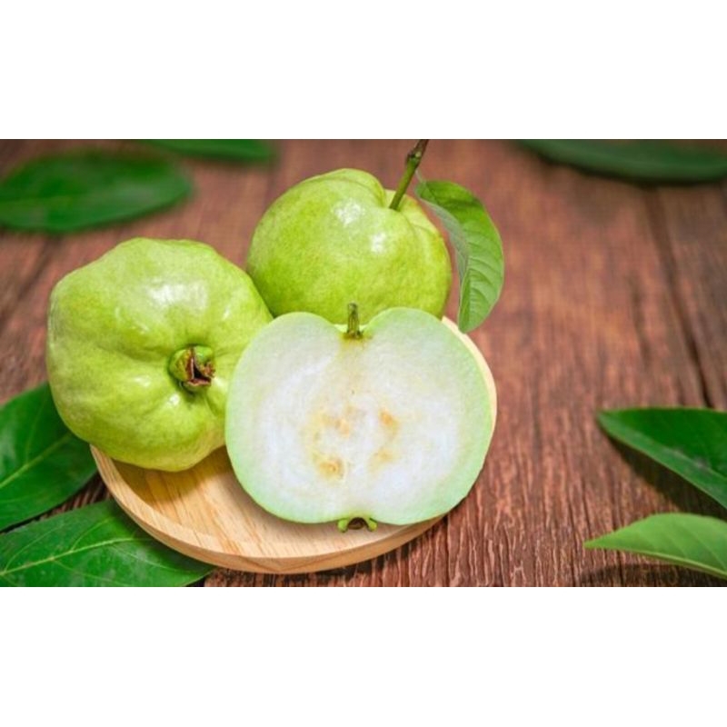 

Jambu ktistal tanpa biji