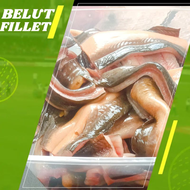 

BELUT FILLET 500grm FROZEN